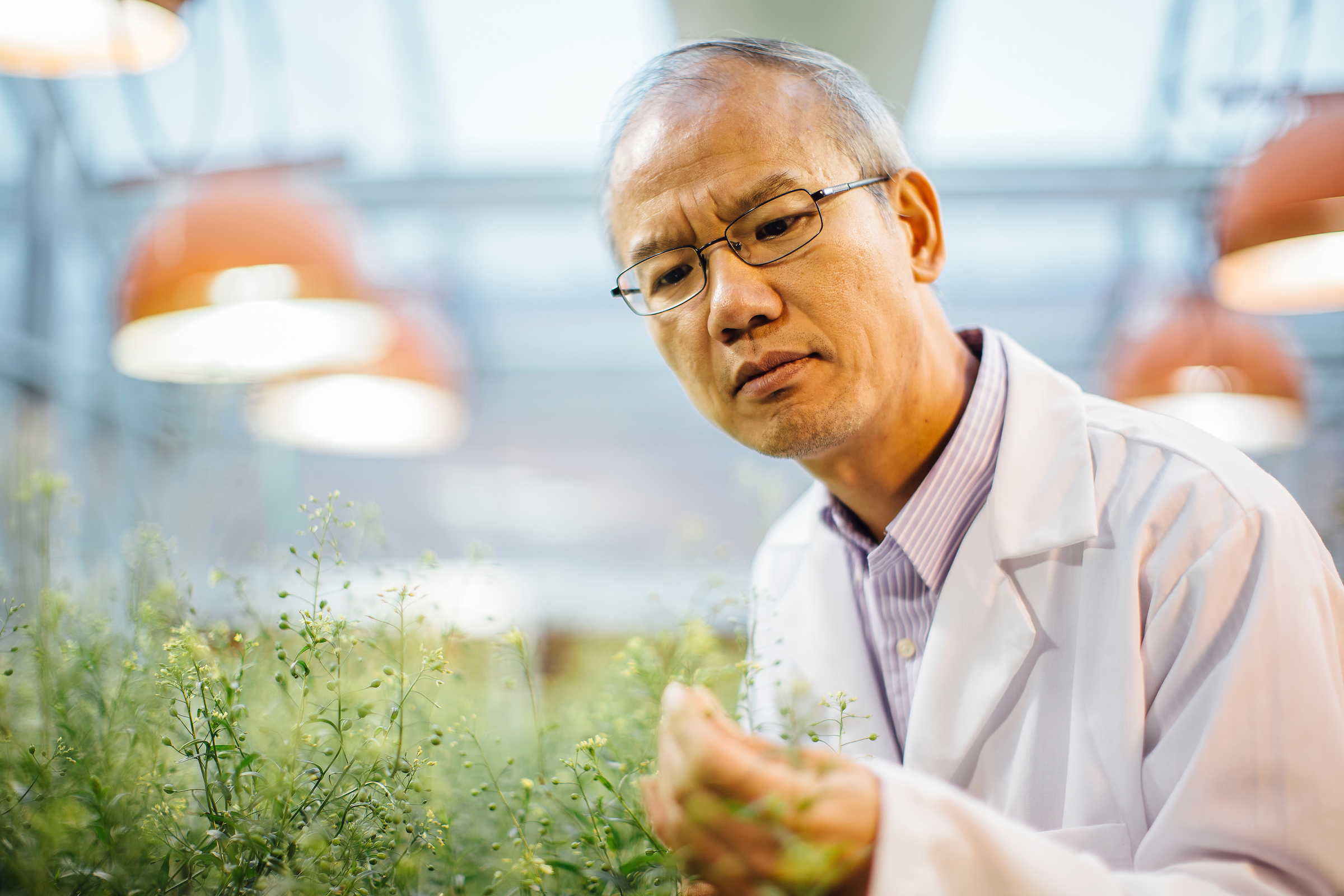 Chaofu Lu conducting research