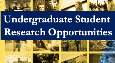 Undergraduate student research opportunities