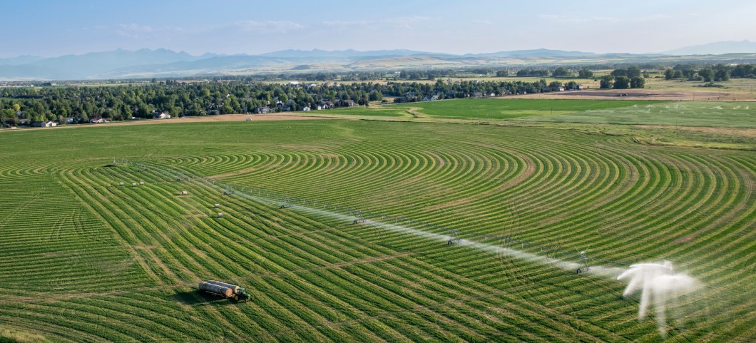 irrigation in field