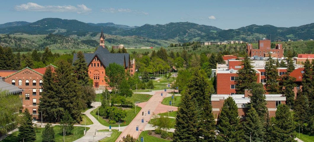 view of MSU campus