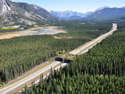 wildlife crossing over highway