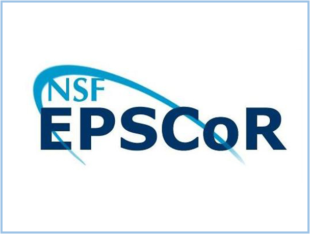 NSF EPSCOR logo