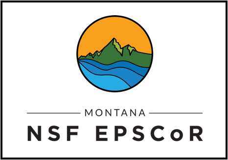 NSF EPSCoR logo
