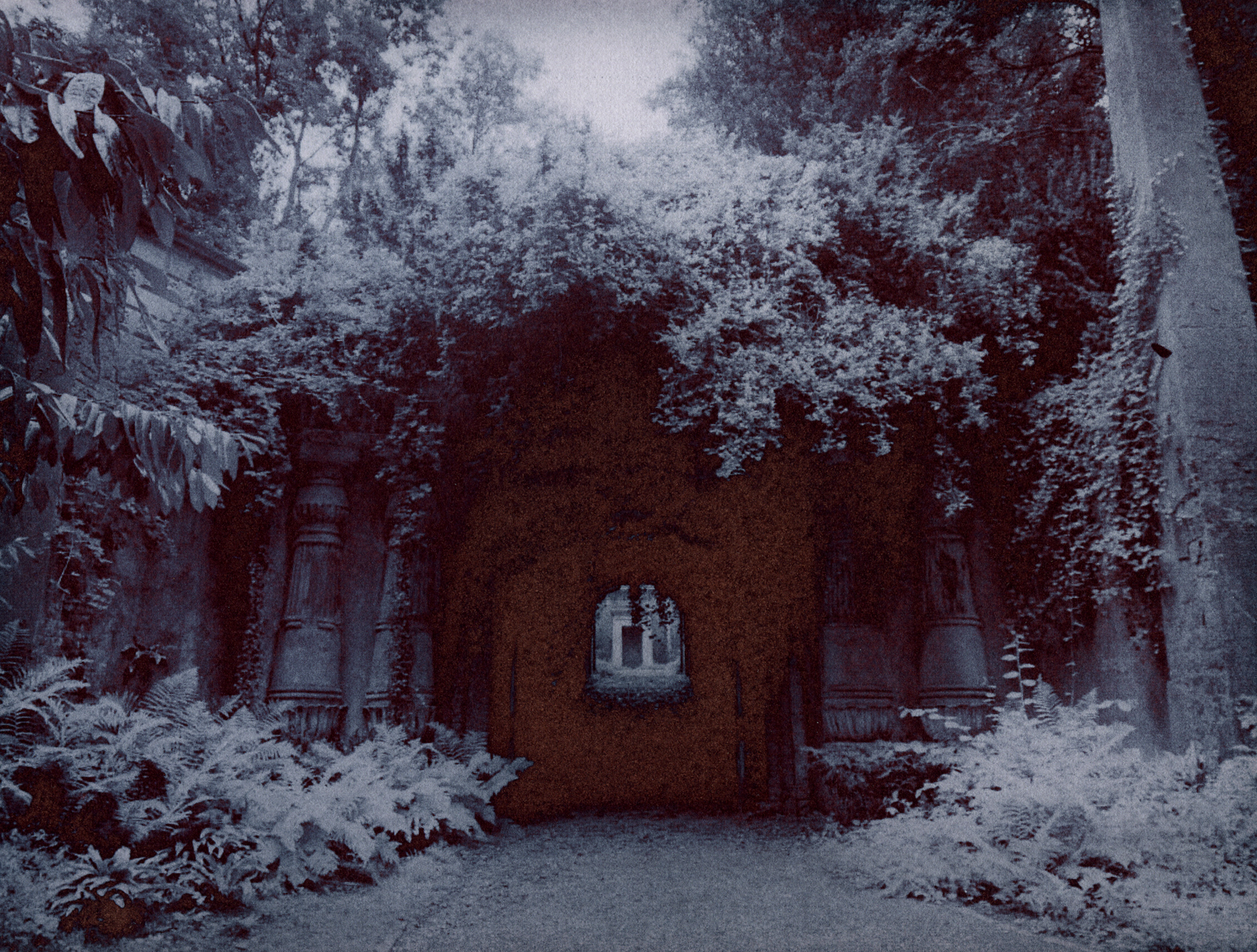 photo of door and shrubs