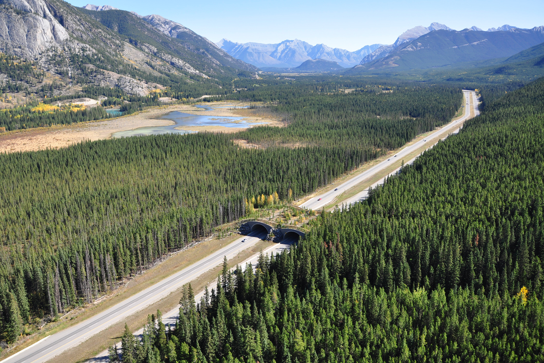 wildlife overpass