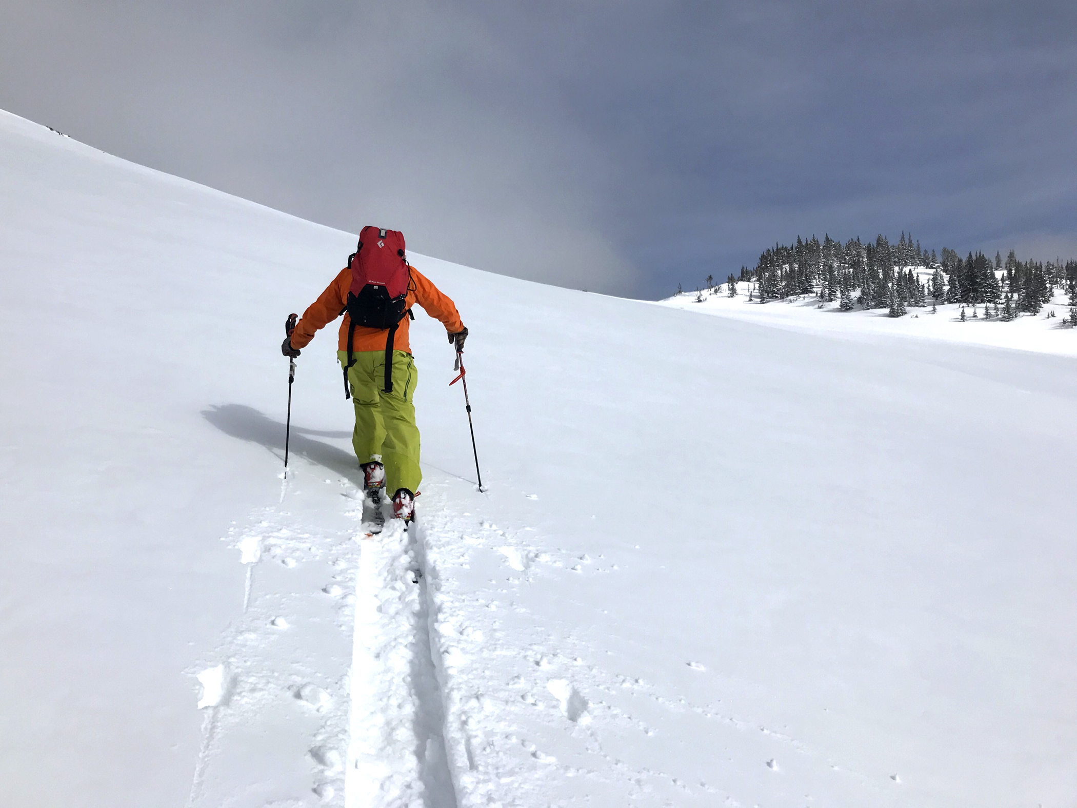 skier in snow