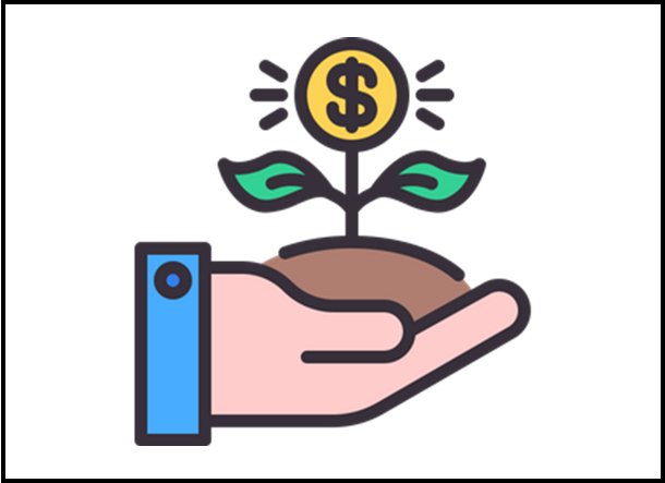 dollar plant in hand