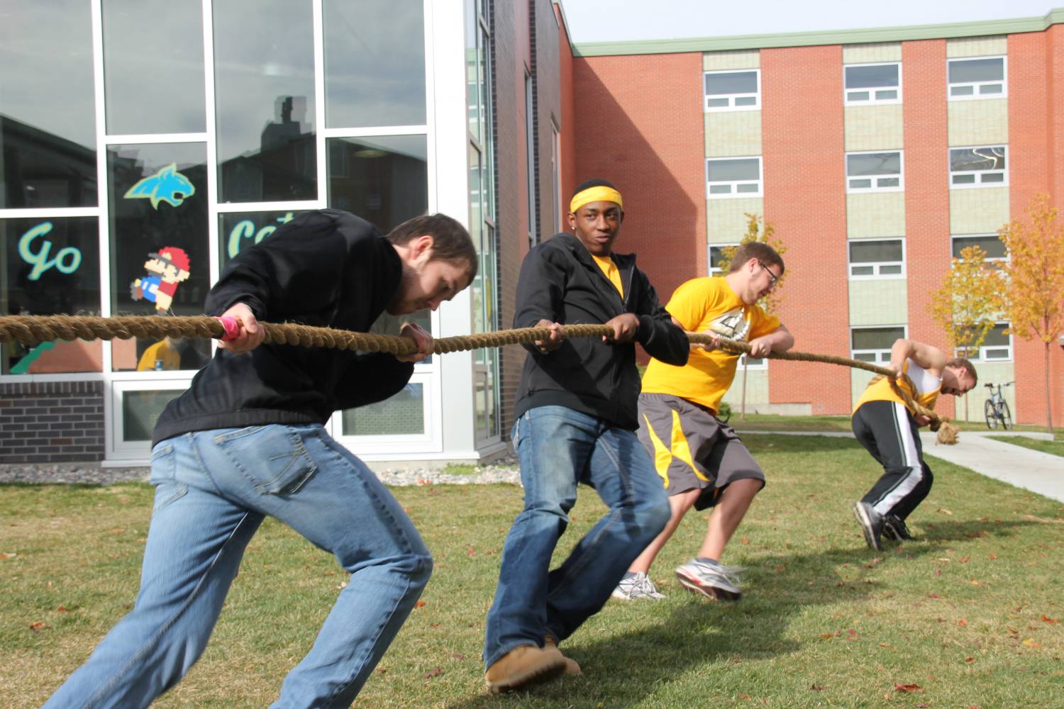 Tug of War