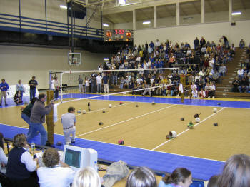 ECEbots at Volleyball Game