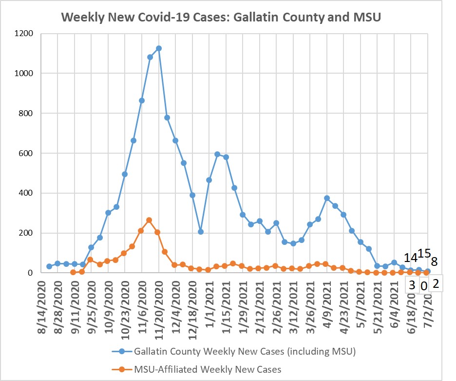 cases in Gallatin County and MSU affiliated
