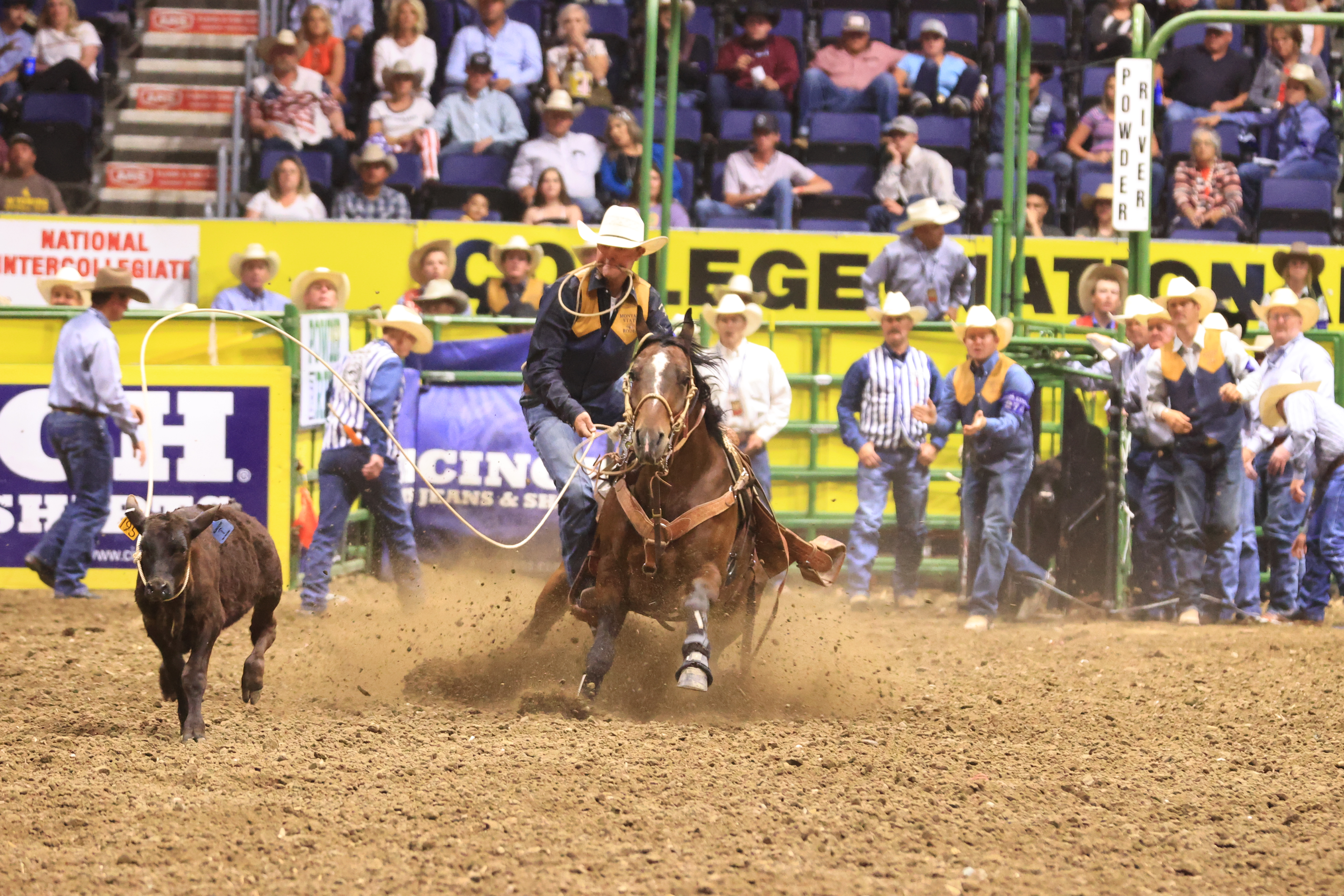 2021 Reserve National Tie Down Roping Champion 2021 Reserve National Tie Down Roping Champion