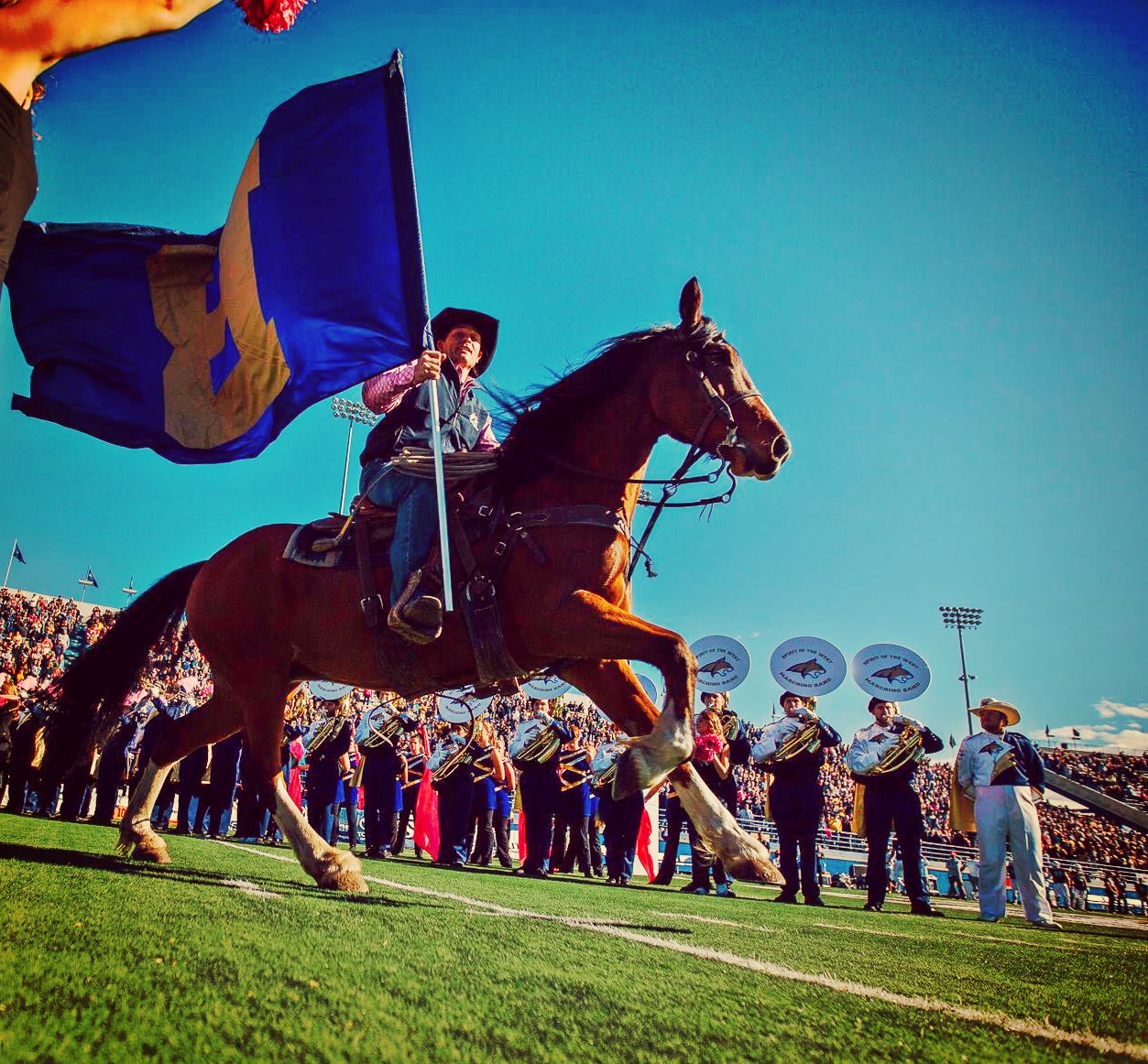 Horse on Field with flag