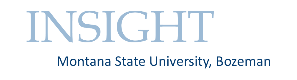 insight logo