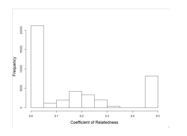 lion relatedness histogram