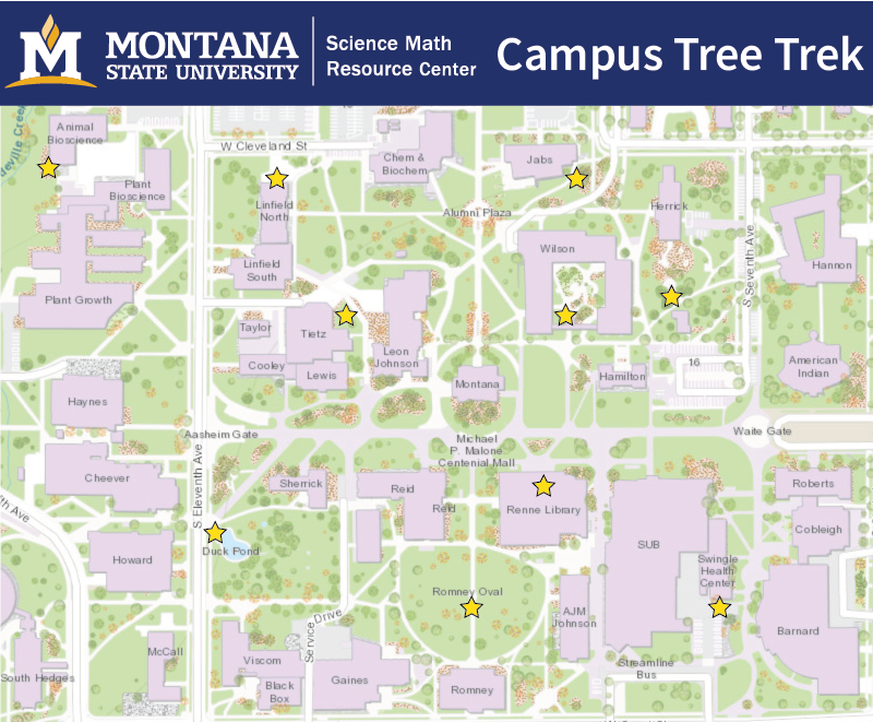 MSU Campus Tree Trek Map