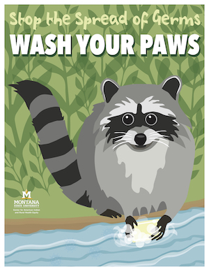 poster of a raccoon washing its paws