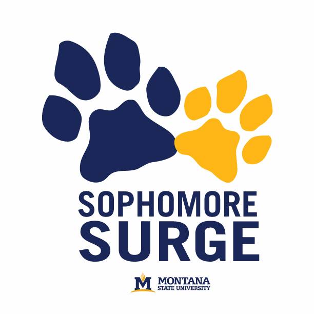 sophomore Surge graphic