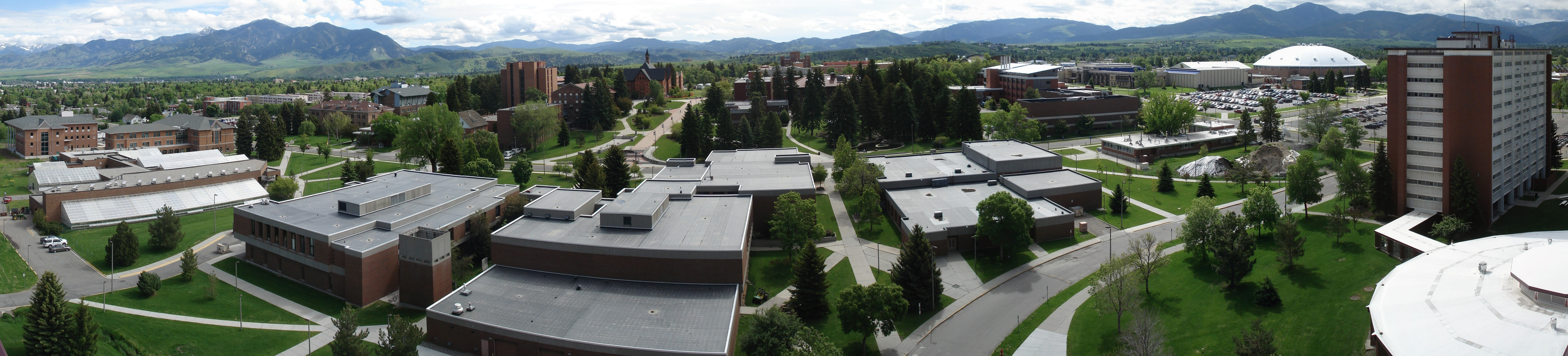 Montana State University Campus