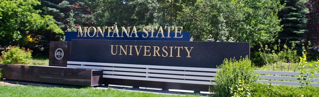Montana State University Signage
