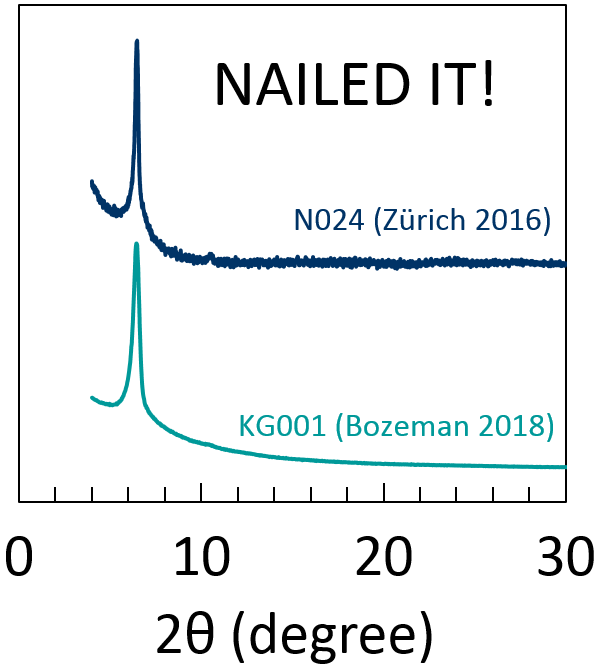 Zeolite-Templated Carbon