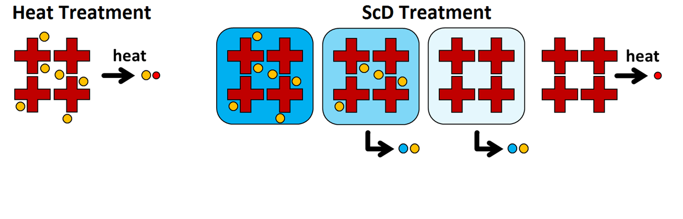 Supercritical Processing Nitrogen ScD