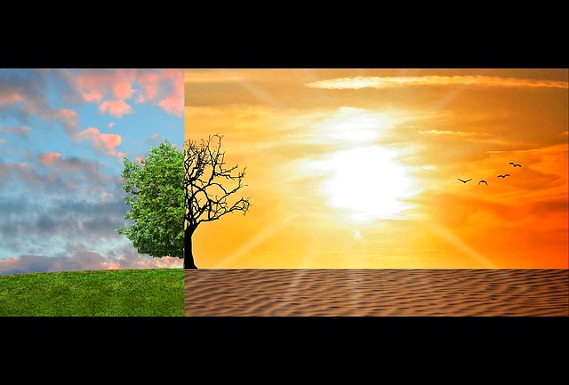 climate change climate change