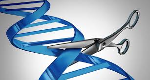 molecular scissors cutting DNA