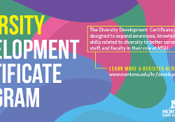 the diversity development certificate program is designed to expand awareness, knowledge, and skills related to diversity to better serve students, staff, and faculty in their role at MSU.