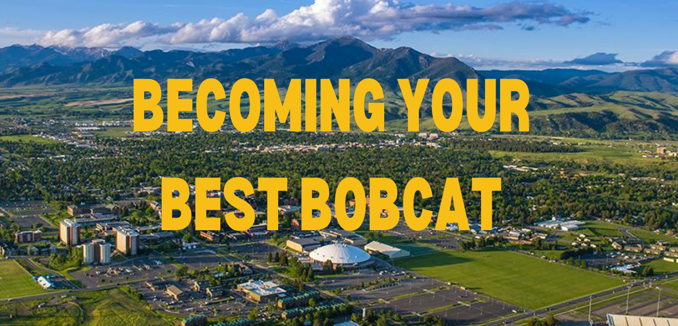 becoming your best bobcat