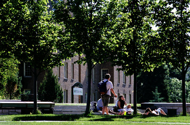 Trees on campus at Montana State University in Bozeman