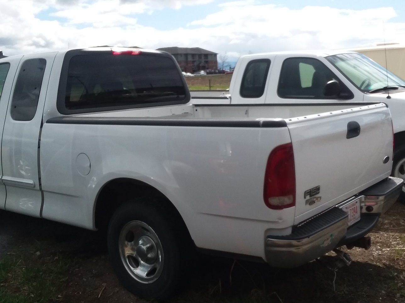 Rear three quarter view of white ford pickup