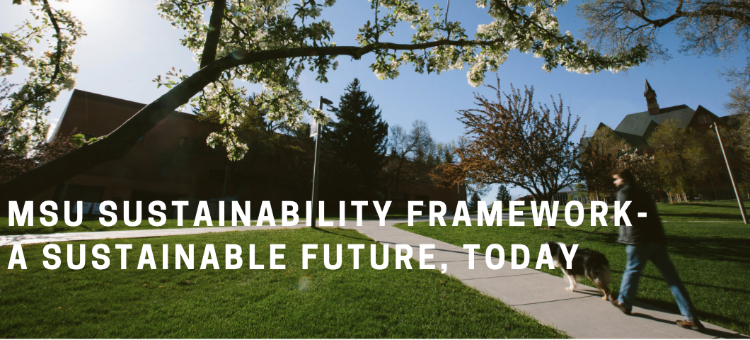 Sustainability Framework headline