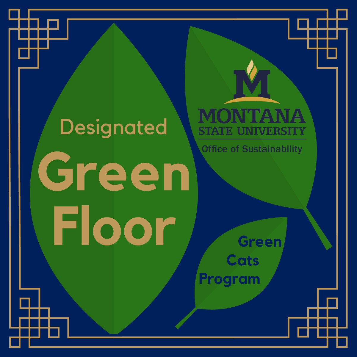 Designated Green Floor Green Cats Program