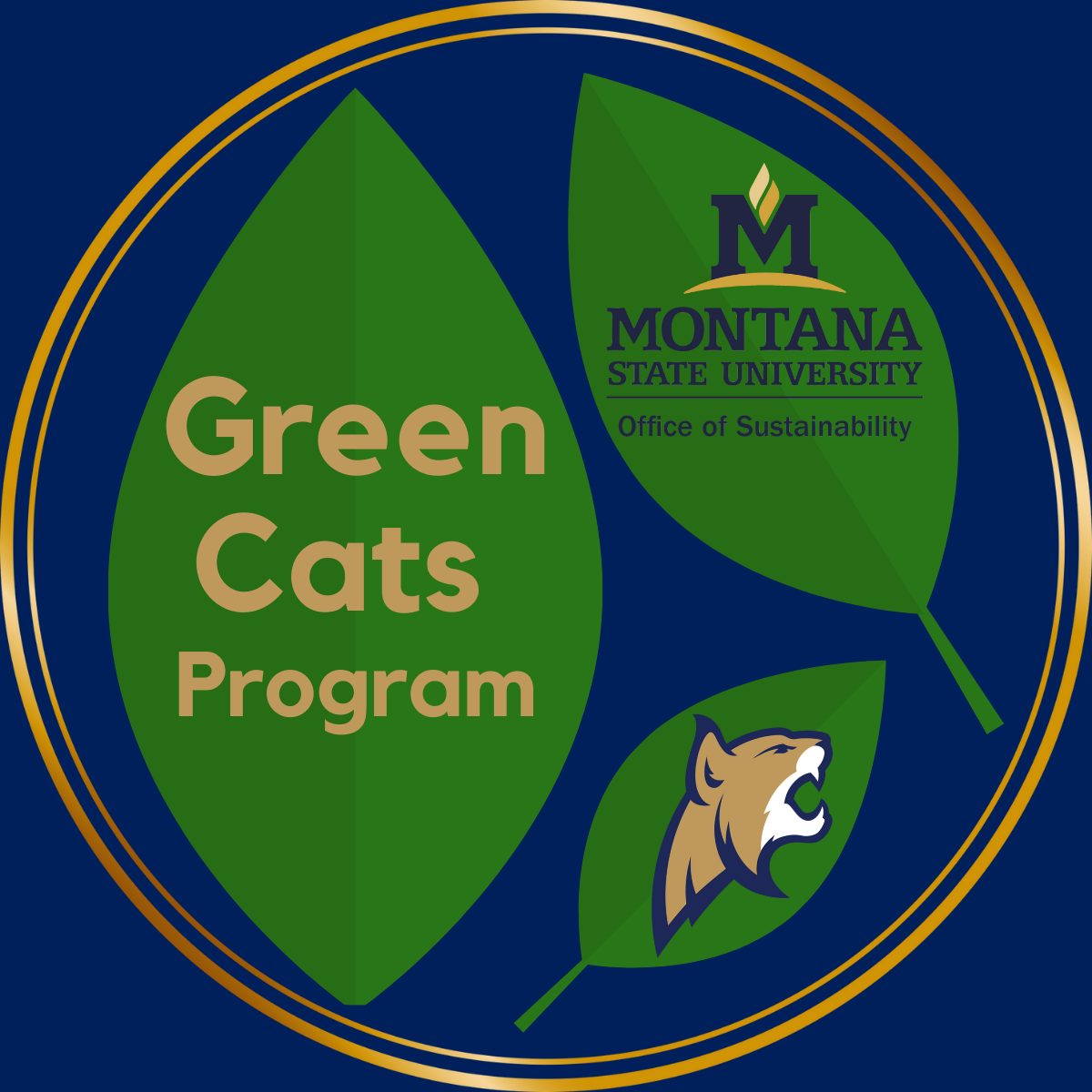 Green Cats Program