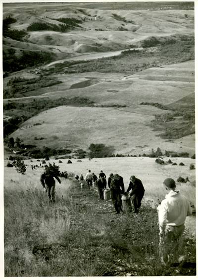 Group of students bearing milk cans ascending and descending the trail on the slope of Mount Baldy below the "M" formation. Fish Hatchery visible in valley below.