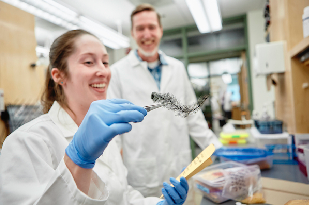 Ashley showing Ryan a dried milfoil sample