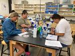 Three students look through microscopes to view and clean their zebrafish embryos. 