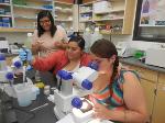 Three students working together on microscopes 