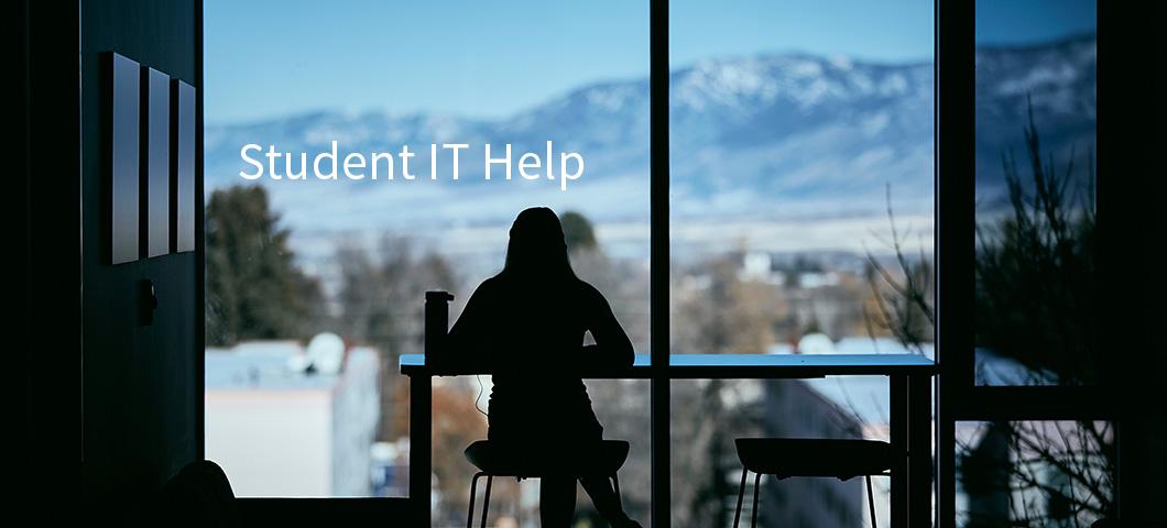 Woman studying at a desk in a window