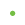 green bullet image