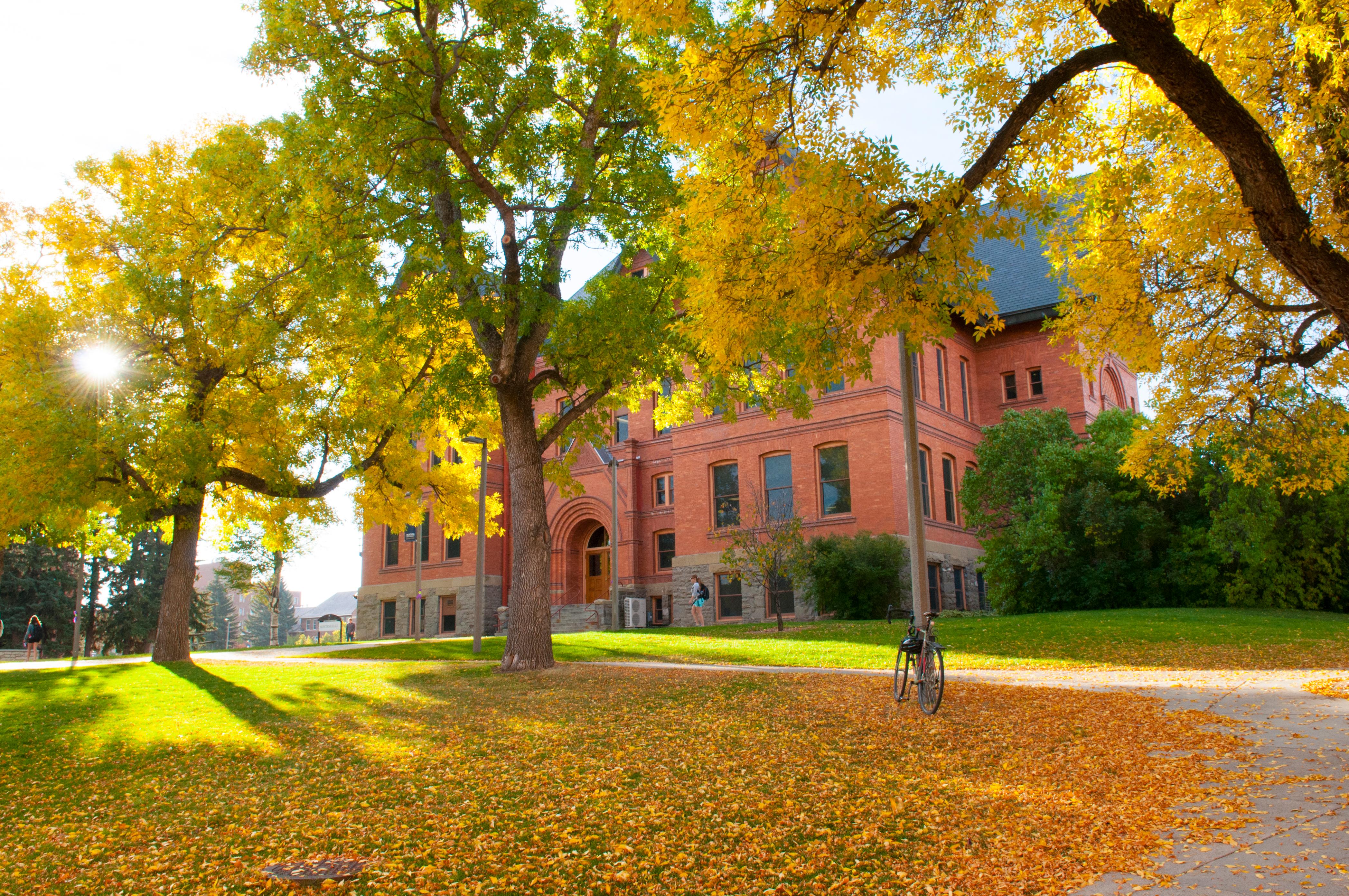 university-studies-university-studies-montana-state-university