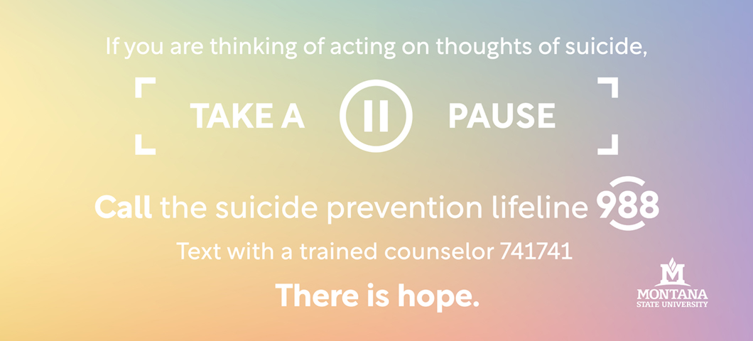 If you are thinking of acting on thoughts of suicide, take a pause. call the suicide prevention lifeline 988