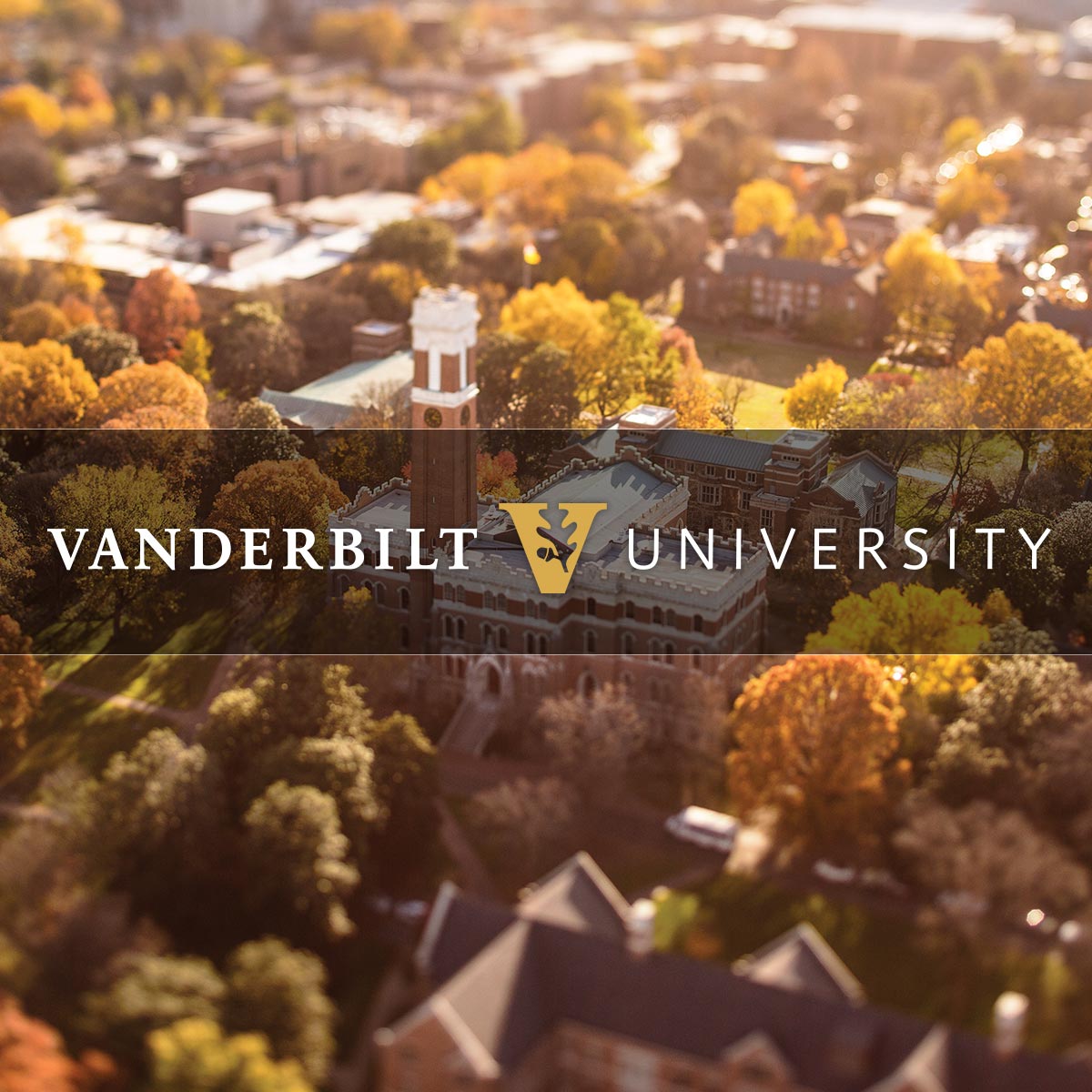 Vanderbilt photo