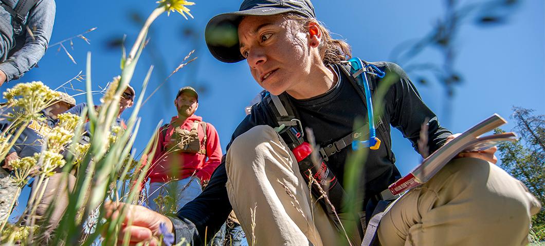 A student reaches for a wildflower that she's studying in a field.