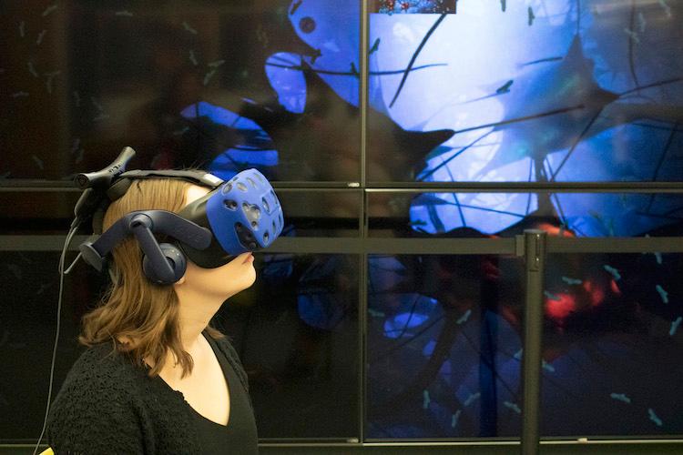 User of VR App for Exploring Inside the Human Body at the MSU Library Virtual Discovery Space