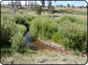 Yellowstone River