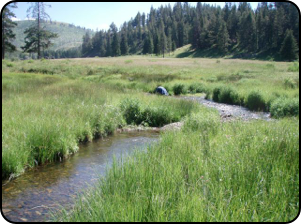 Yellowstone River