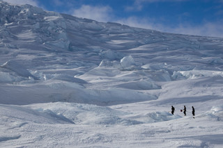 Seal research in Erebus Bay