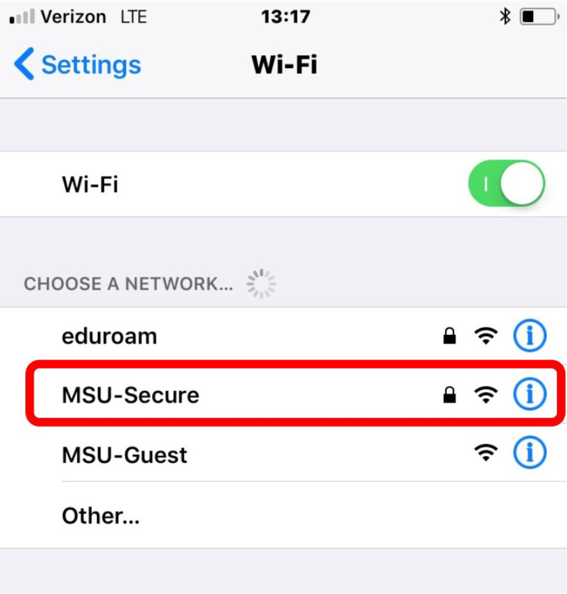 Select MSU-Secure screen shot.