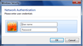 Network Authentication credentials window image.